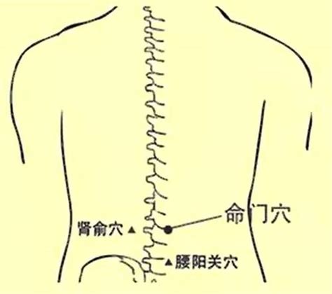 腰窩命理|有腰窩的女人命好嗎 命運居然和身材有關